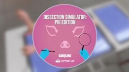 解剖模拟器：猪版（Dissection Simulator: Pig Edition）