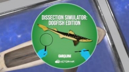 解剖模拟器：角鲨头版（Dissection Simulator: Dogfish Edition）
