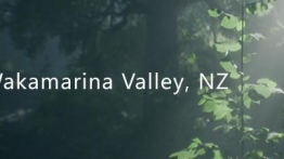 新西兰瓦卡马里纳山谷（Wakamarina Valley, New Zealand）