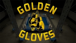 金手套（Golden Gloves VR）