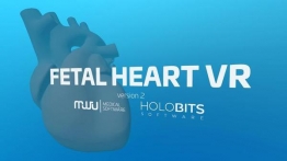 胎心VR（Fetal Heart VR）