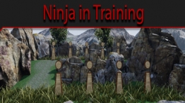 忍者训练场 VR (Ninja in Training)