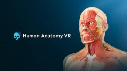 人体解剖VR（Human Anatomy VR）