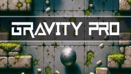引力大师（Gravity Pro）