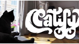 卡蒂菲 VR (Catify VR)