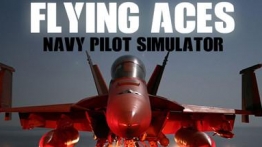 海军飞行员模拟器(Flying Aces - Navy Pilot Simulator)